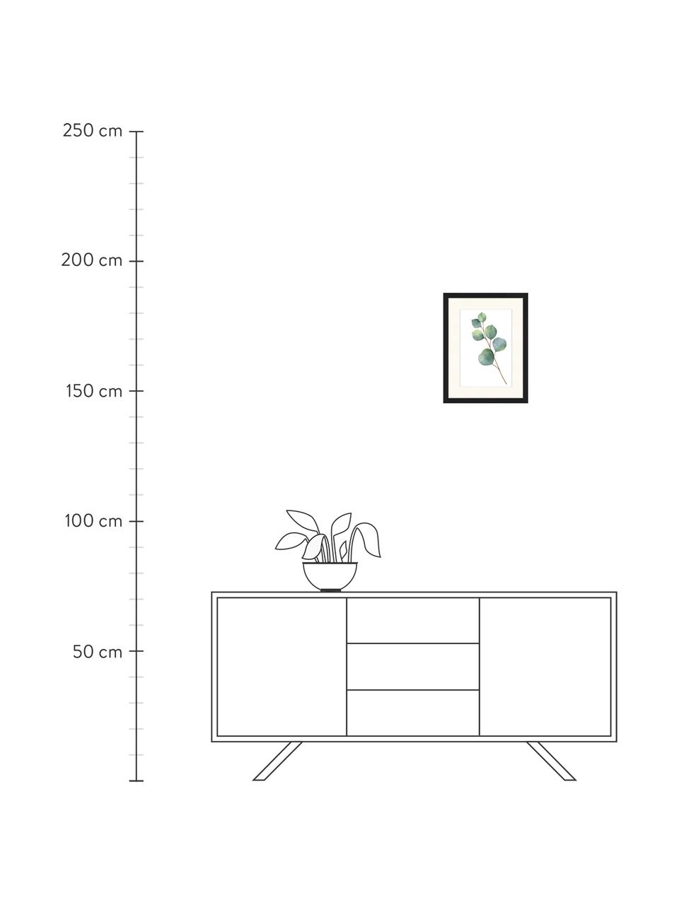 Ingelijste digitale print Eucalyptus II, Afbeelding: digitale print op papier,, Lijst: gelakt hout, Groen, wit, zwart, B 33 x H 43 cm
