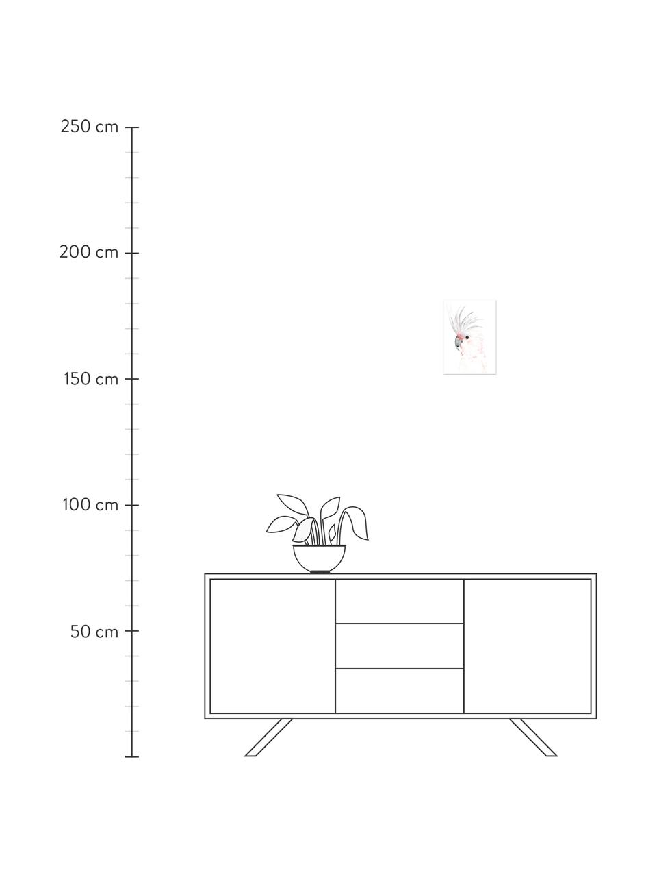 Plagát Kakadu, Digitálna tlač na papieri, 200 g/m², Biela, sivá, ružová, Š 30 x V 42 cm