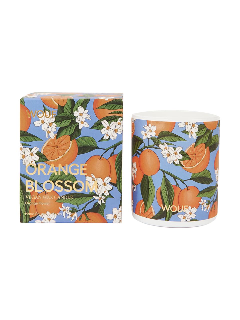 Candela profumata arancione Blossom (fior d'arancio), 100% cera vegetale, Arancione, blu, Ø 8 x Alt. 10 cm