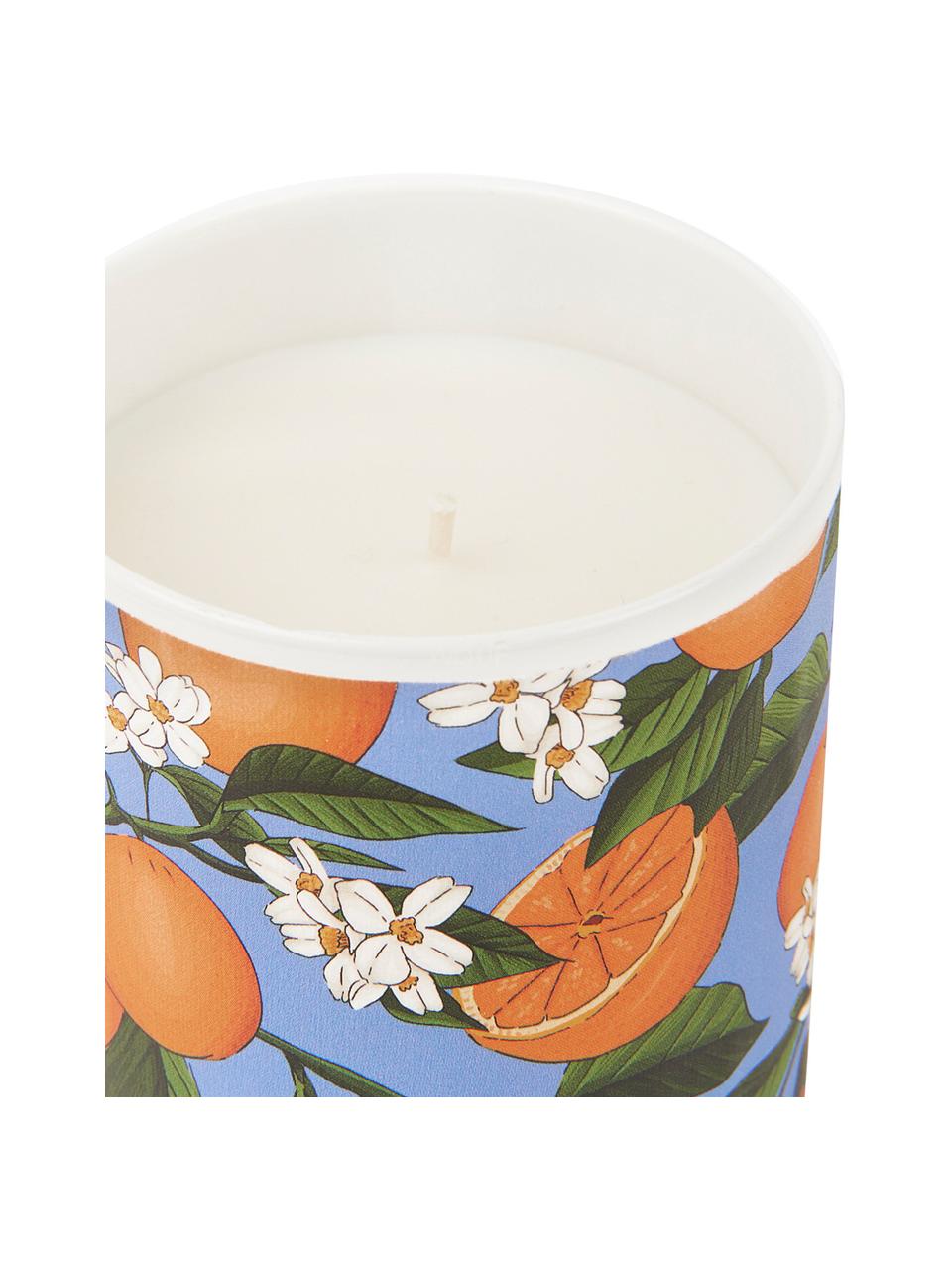 Bougie parfumée vegan Orange Blossom (fleur d'oranger), Orange