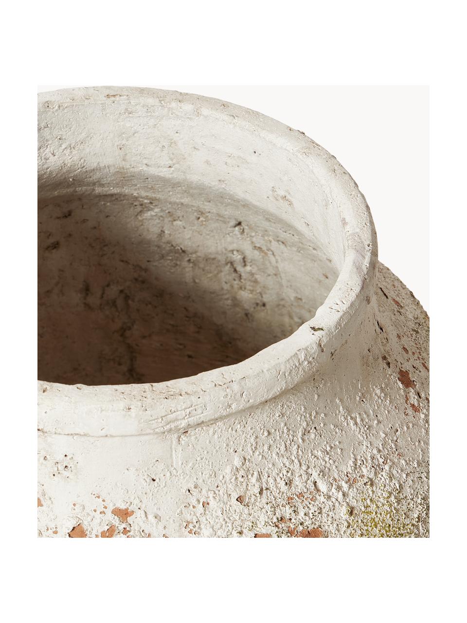 Cache-pot en béton Porto, haut. 71 cm, Béton, Blanc cassé, terracotta, vert, Ø 51 x haut. 71 cm