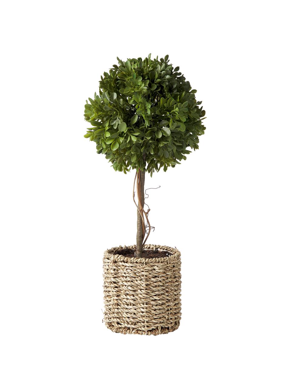 Handgemaakte kunstboom Moni, Pot: rotan, Groen, bruin, Ø 20 x H 43 cm