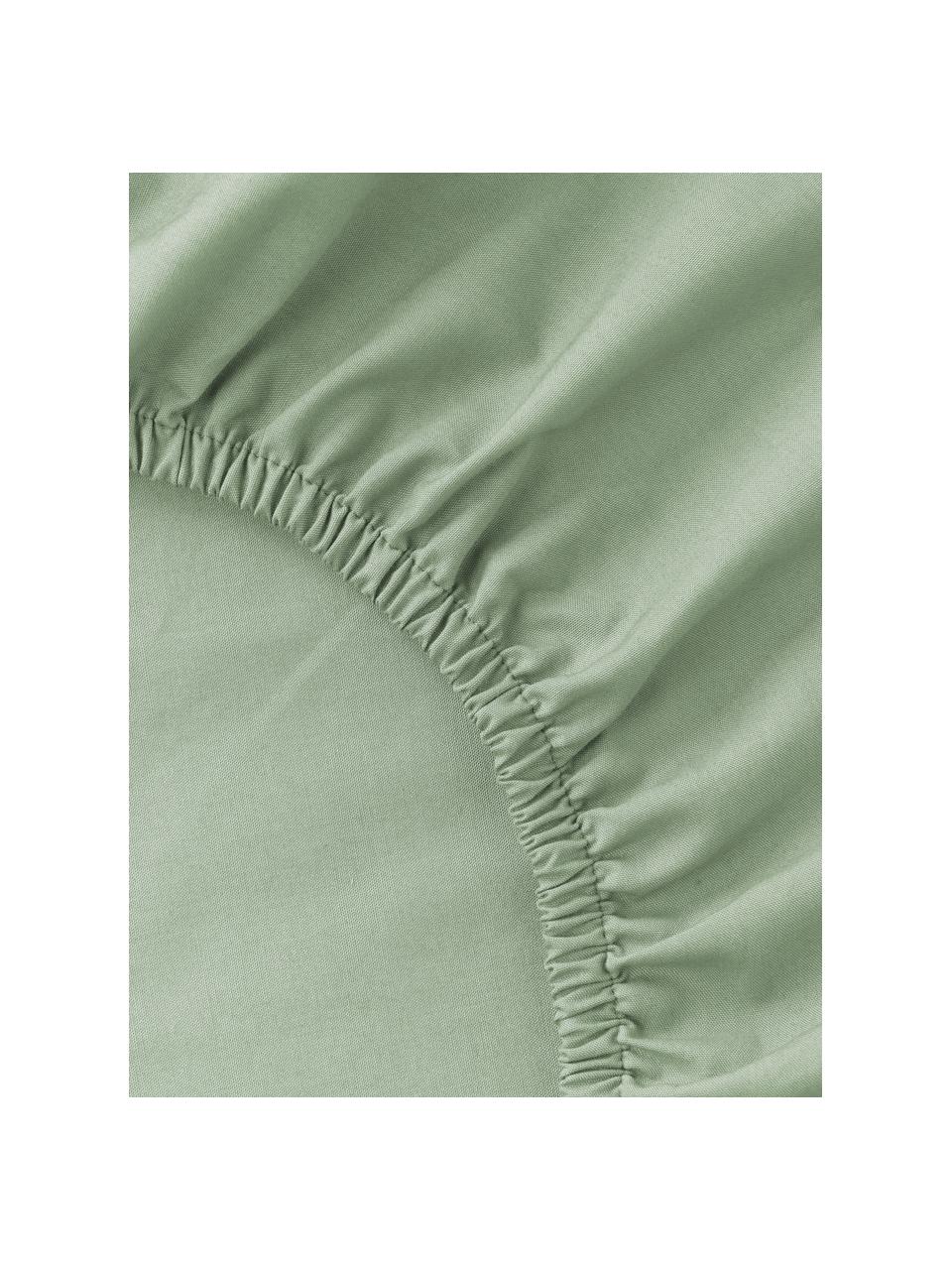 Drap-housse en percale de coton pour surmatelas Elsie, Vert sauge, larg. 180 x long. 200 cm, haut. 15 cm