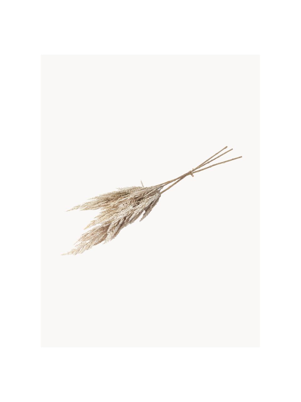 Ručně vyrobená kytice Pampas, Umělá hmota, Krémově bílá, D 92 cm