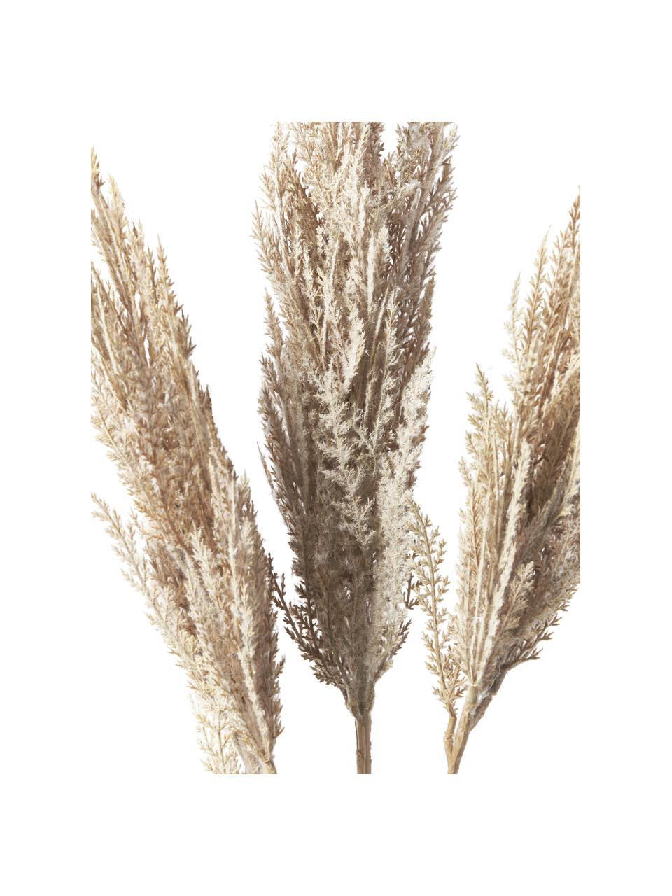Ručně vyrobená kytice Pampas, Umělá hmota, Krémově bílá, D 92 cm