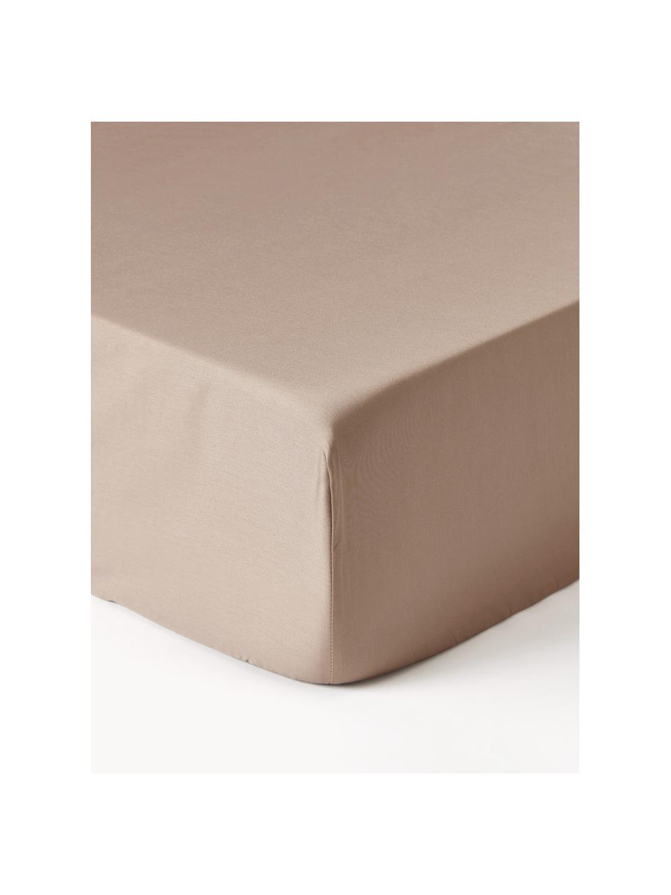 Spannbettlaken Premium, Baumwollsatin, Webart: Satin Fadendichte 500 TC,, Beige, B 90 x L 200 cm, H 25 cm