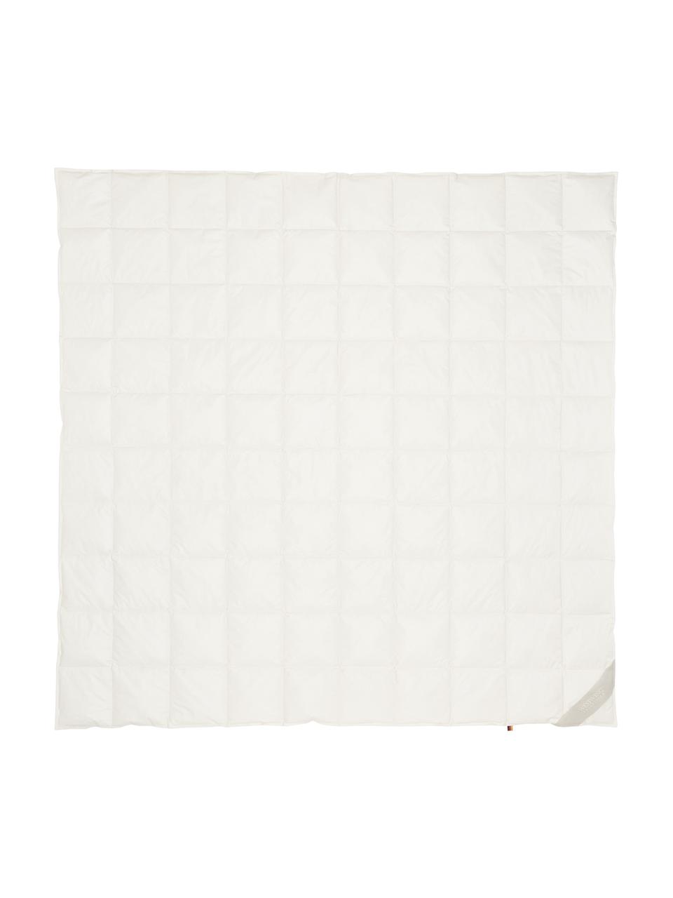 Paplón z organického páperia a bavlny Premium, ľahký, Ľahký, Š 200 x D 200 cm