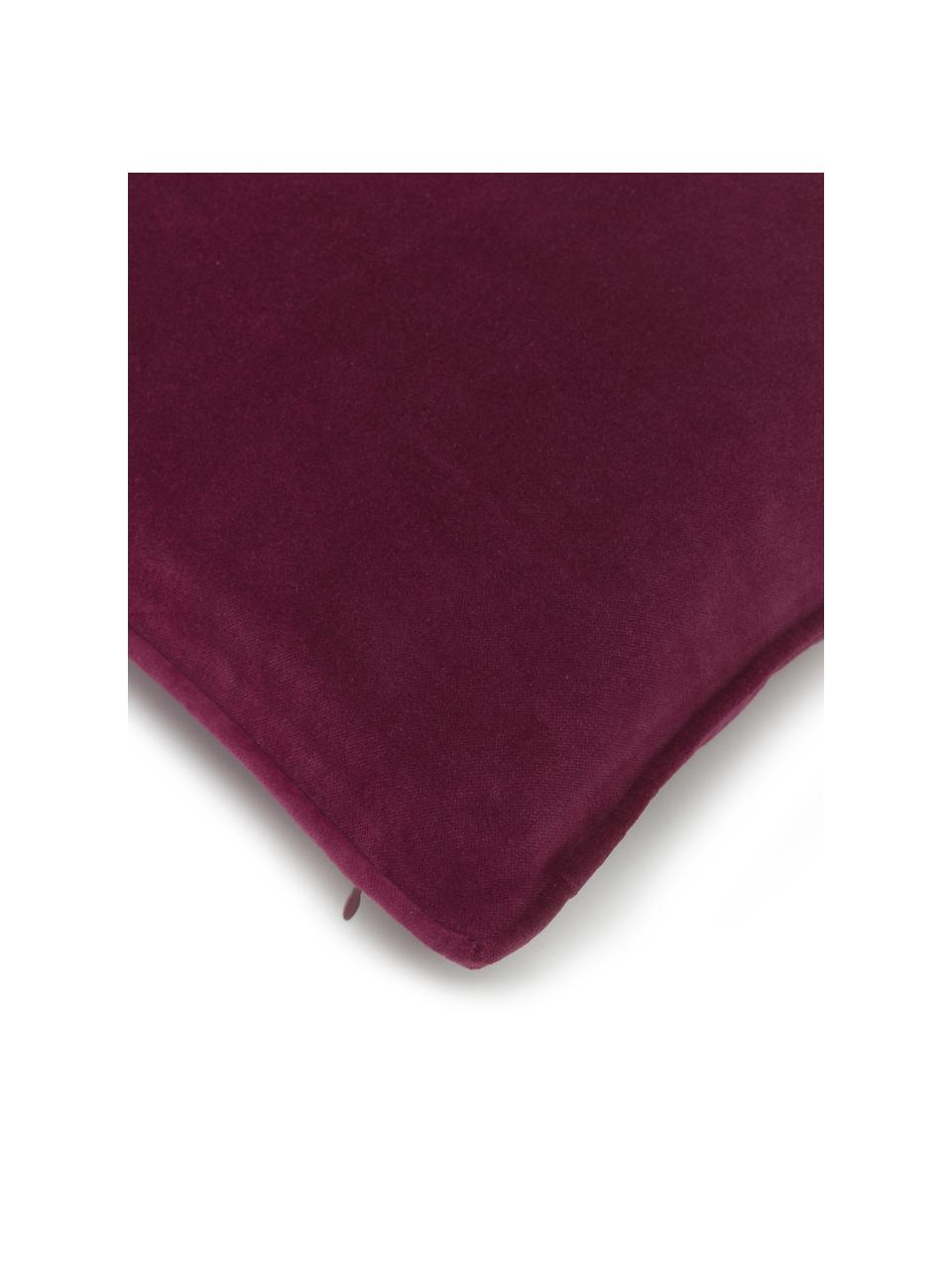 Funda de cojín de terciopelo Dana, 100% terciopelo de algodón, Rojo vino, An 40 x L 40 cm