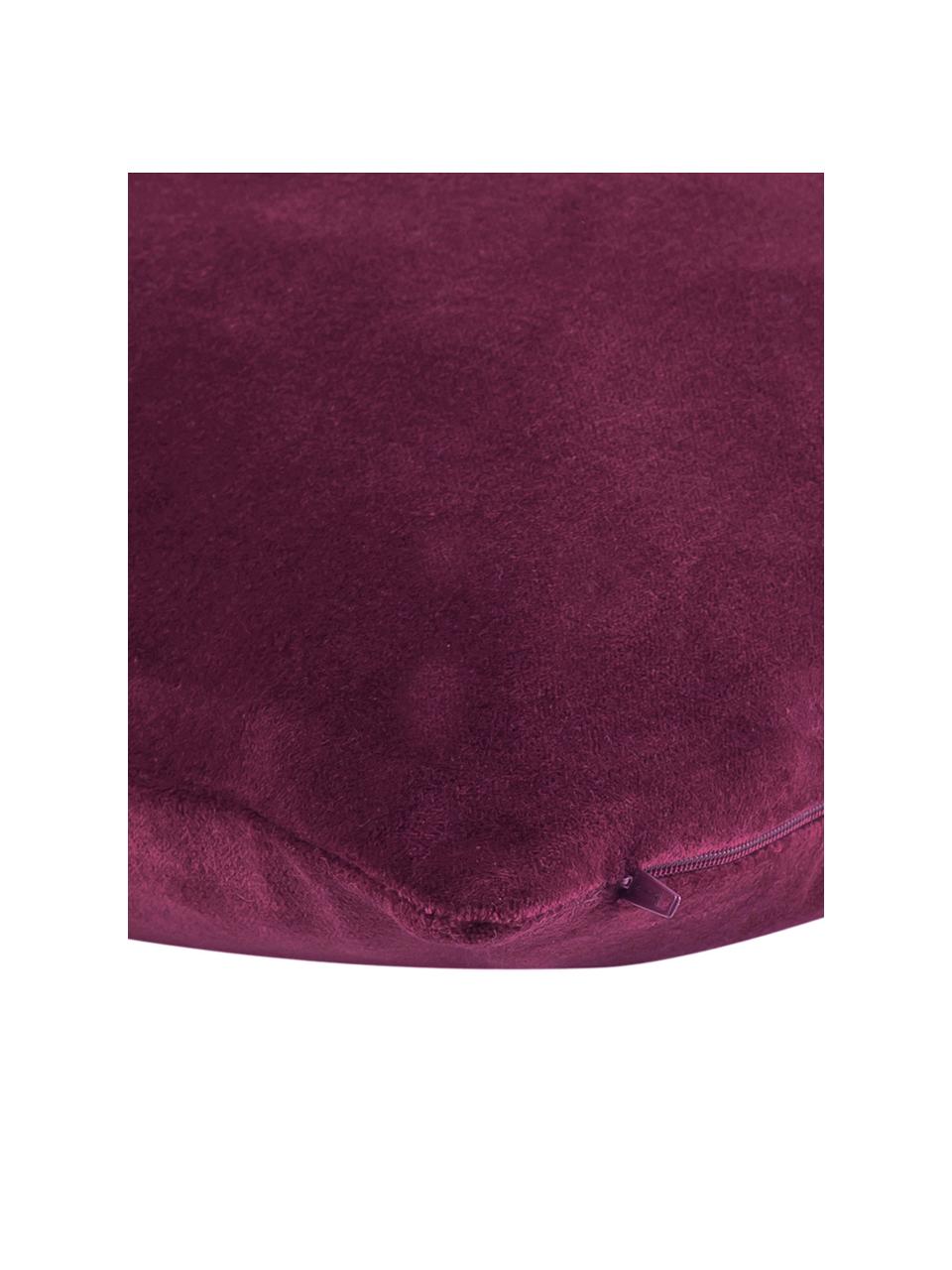 Poszewka na poduszkę z aksamitu Dana, 100% aksamit bawełniany, Wiśniowy, S 40 x D 40 cm