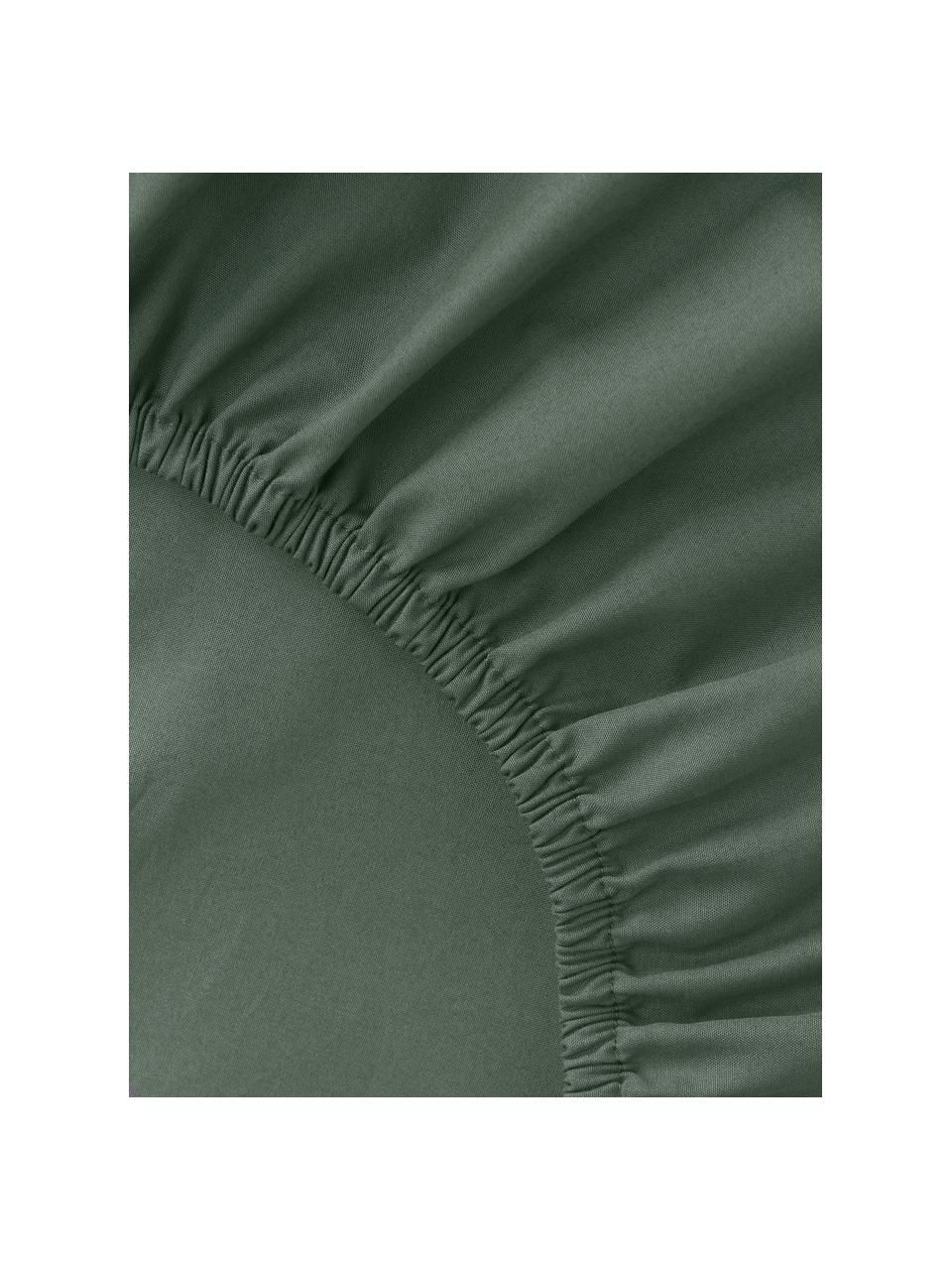 Drap-housse en percale de coton pour sommier tapissier Elsie, Vert foncé, larg. 90 x long. 200 cm, haut. 35 cm