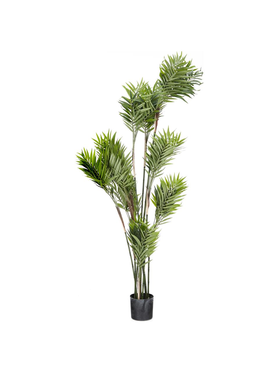 Planta artificial Palm Parlour, Fibra sintética, Verde, Ø 45 x Al 180 cm