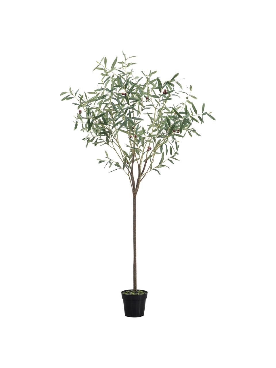 Ručně vyrobená umělá rostlina Olive Tree, V 172 cm, Umělá hmota, Zelená, Ø 100 cm, V 170 cm