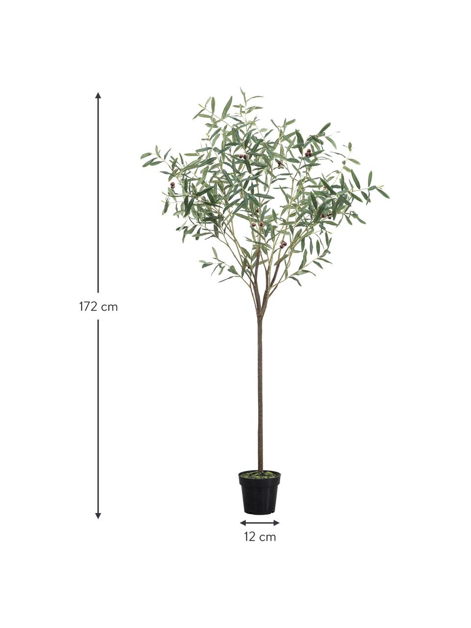 Ručně vyrobená umělá rostlina Olive Tree, V 172 cm, Umělá hmota, Zelená, Ø 100 cm, V 170 cm