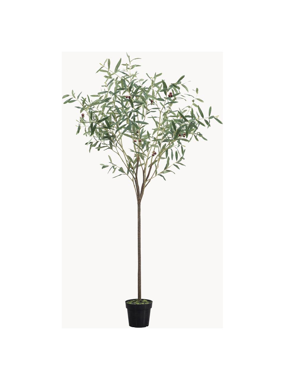 Handgefertigter Kunstbaum Olive, H 172 cm, Kunststoff, Grün, Braun, L 170 cm