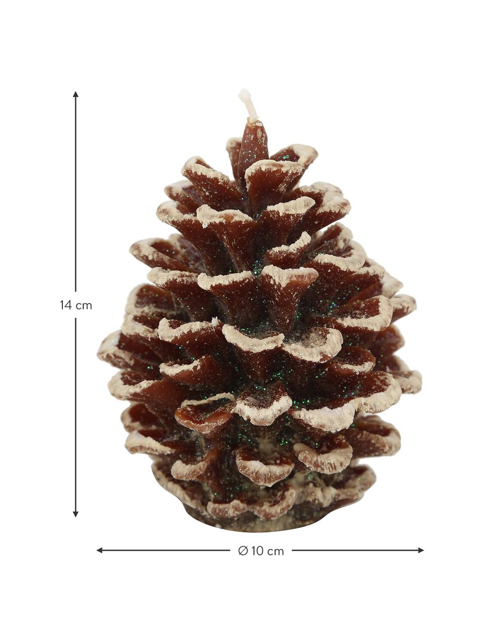 Sada svíček ve tvaru šišek Pine, 2 díly, Vosk, Odstíny hnědé, Ø 10 cm, V 14 cm