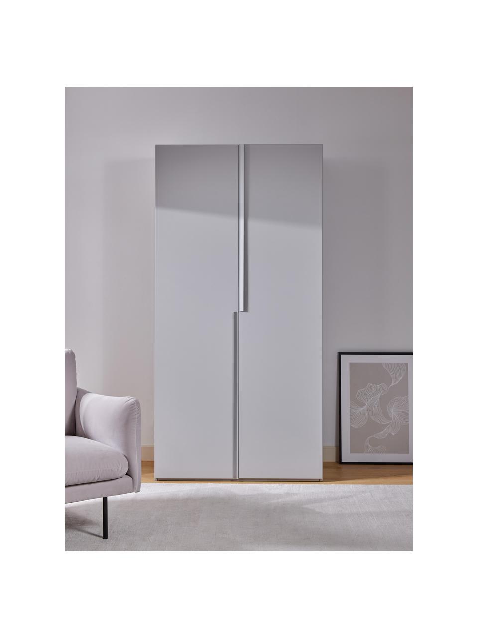 Armario modular Leon, 2 puertas (100 cm), diferentes variantes, Estructura: tablero aglomerado revest, Gris claro, Interior Basic (An 100 x Al 200 cm)