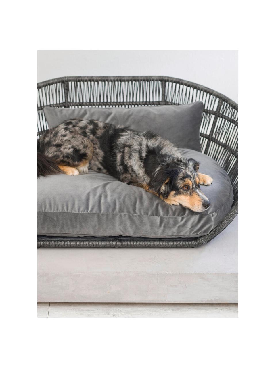 Cama para mascotas de interior/exterior Prado, Tapizado: 100% poliéster Alta resis, Estructura: aluminio con pintura en p, Gris, gris antracita, An 110 x F 74 cm