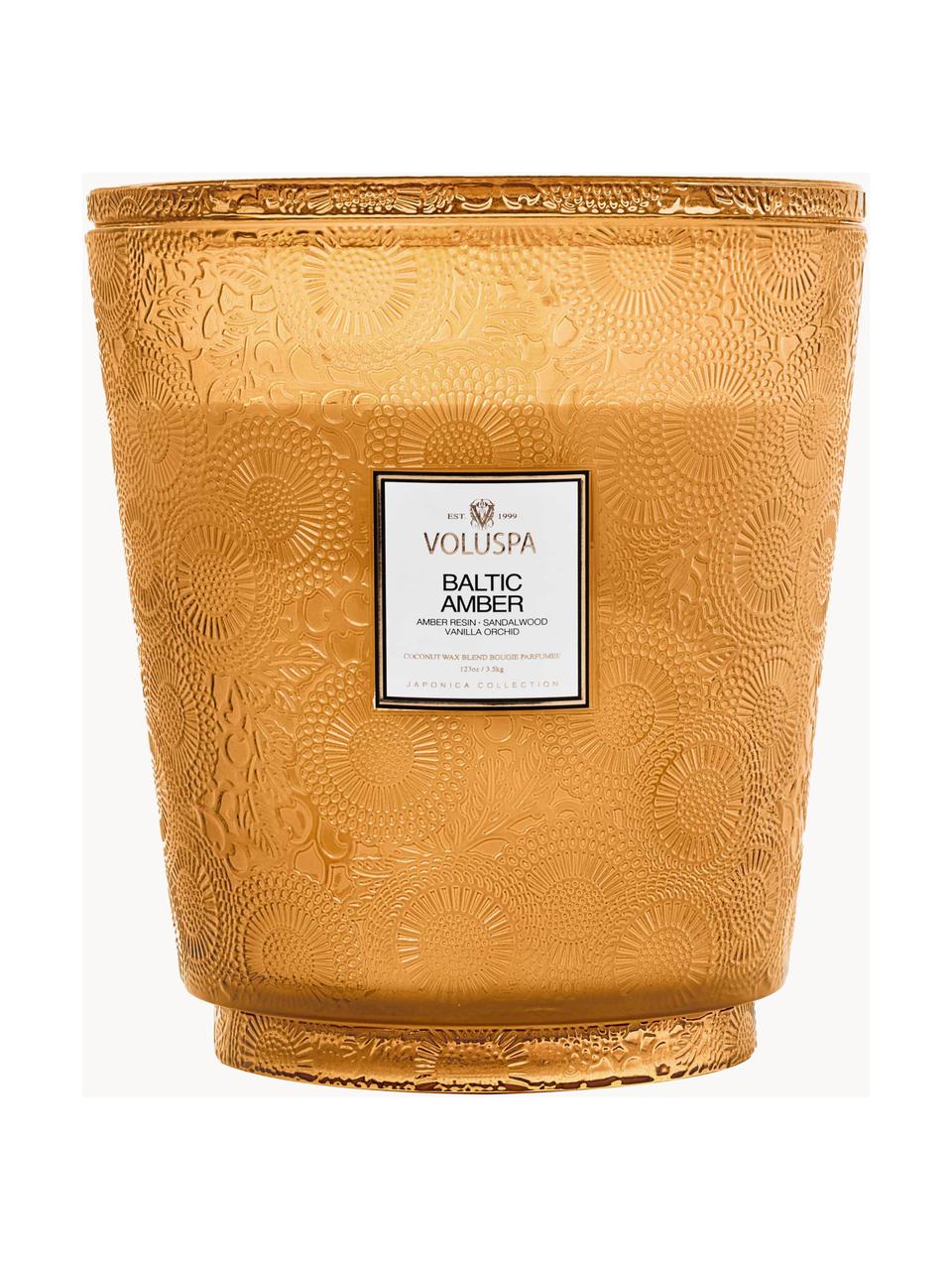 Bougie parfumée artisanale à cinq mèches Japonica Collection (résine ambre, bois de santal, cèdre & orchidée vanille), Résine ambre, bois de santal, cèdre & orchidée vanille, Ø 25 x haut. 30 cm