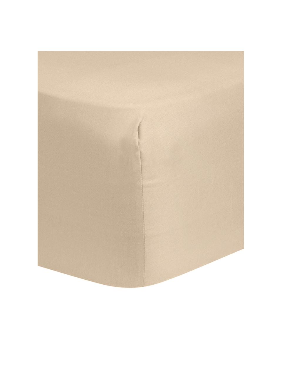Boxspring hoeslaken Comfort in taupe, katoensatijn, Weeftechniek: satijn, Taupe, B 140 x L 200 cm