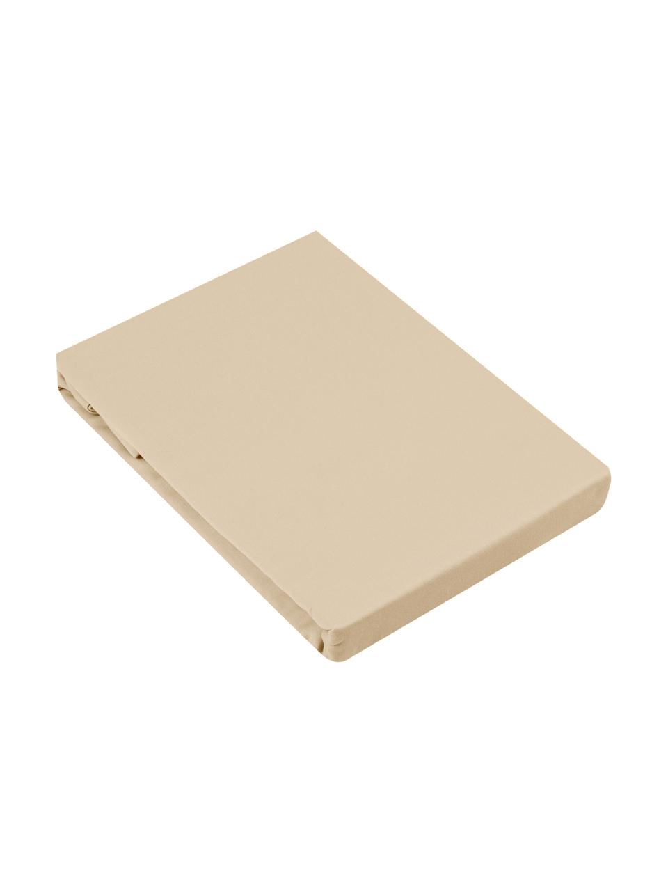 Boxspring-Spannbettlaken Comfort, Baumwollsatin, Webart: Satin Fadendichte 300 TC,, Beige, B 140 x L 200 cm, H 35 cm