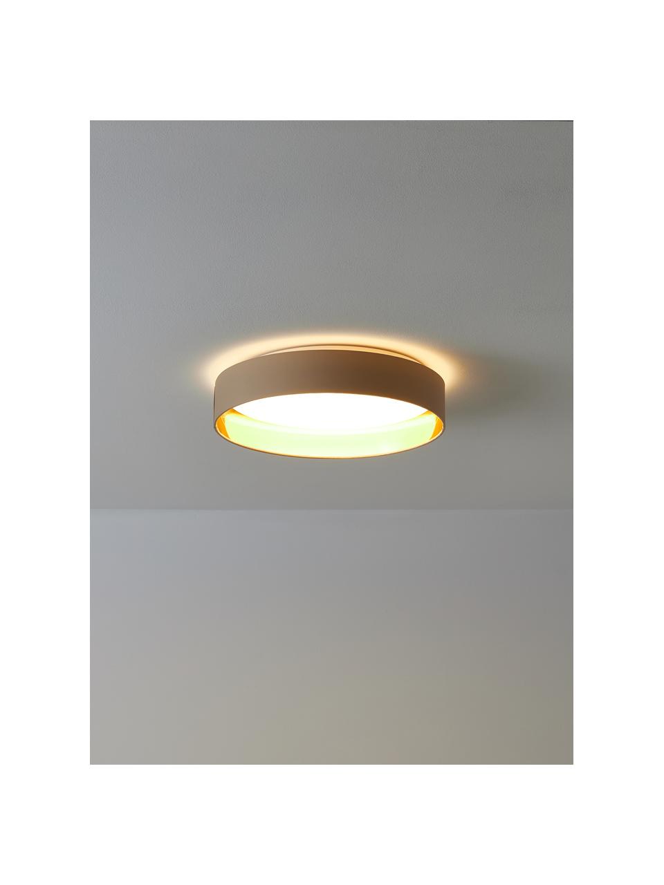 Plafón LED Mallory, Estructura: Madera maciza de roble y , Beige, dorado, Ø 41 x Al 10 cm