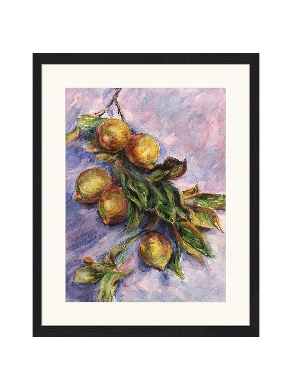 Ingelijste digitale print Lemons On A Branch, Afbeelding: digitale print op papier,, Lijst: gelakt hout, Multicolour, B 43 cm x H 53 cm