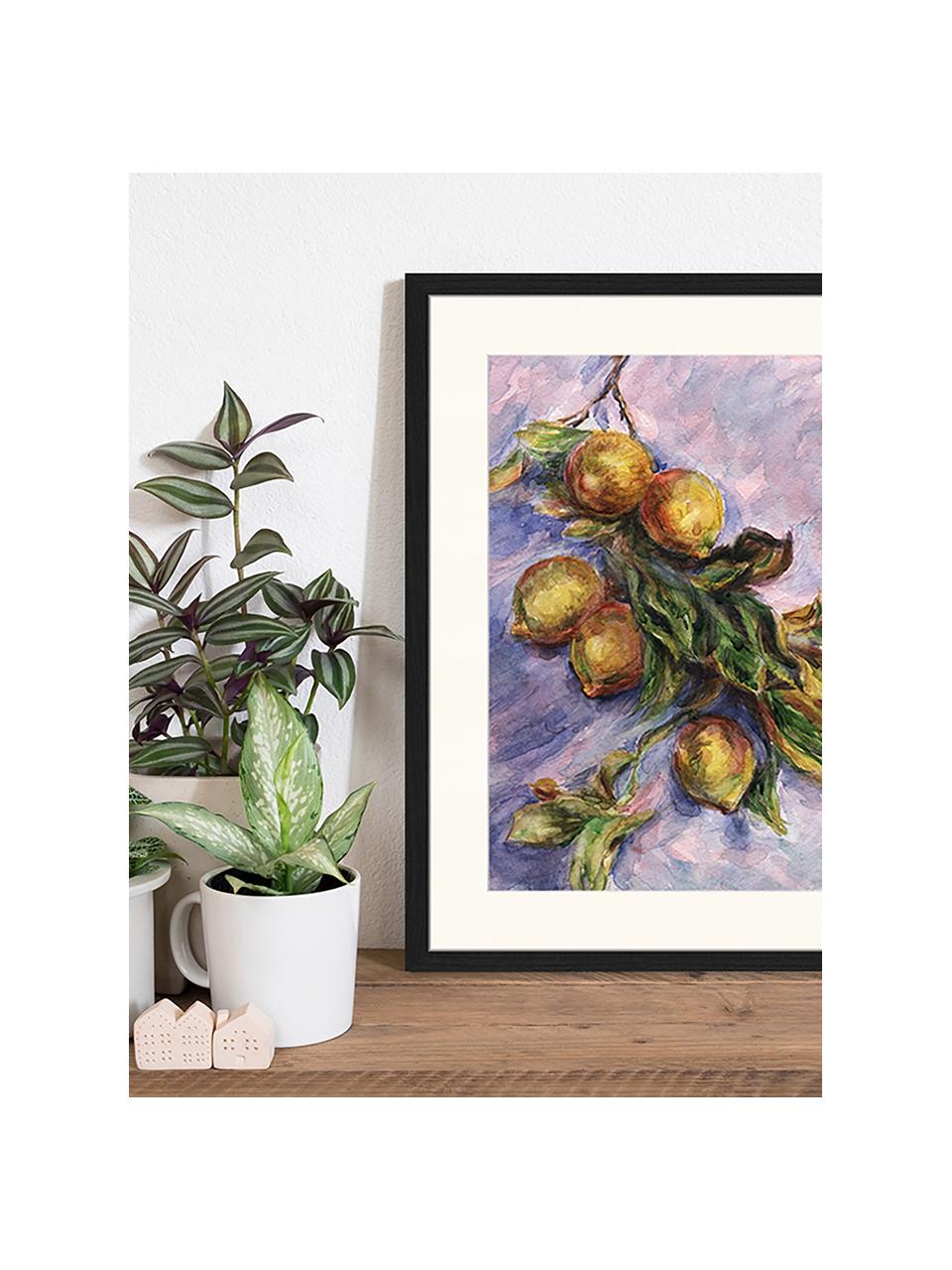 Ingelijste digitale print Lemons On A Branch, Afbeelding: digitale print op papier,, Lijst: gelakt hout, Multicolour, B 43 cm x H 53 cm