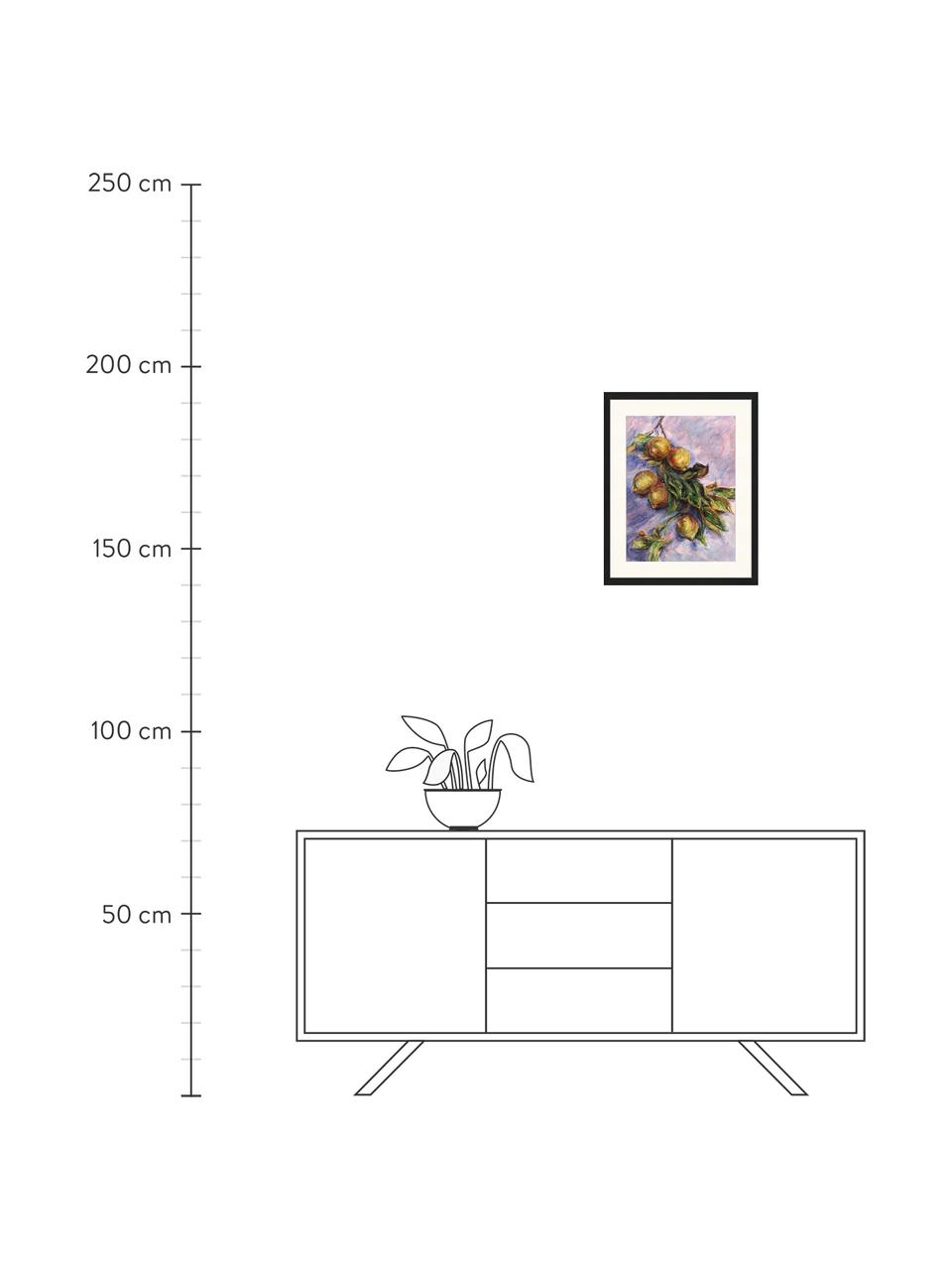 Gerahmter Digitaldruck Lemons On A Branch, Bild: Digitaldruck auf Papier, , Rahmen: Holz, lackiert, Front: Plexiglas, Mehrfarbig, B 43 x H 53 cm