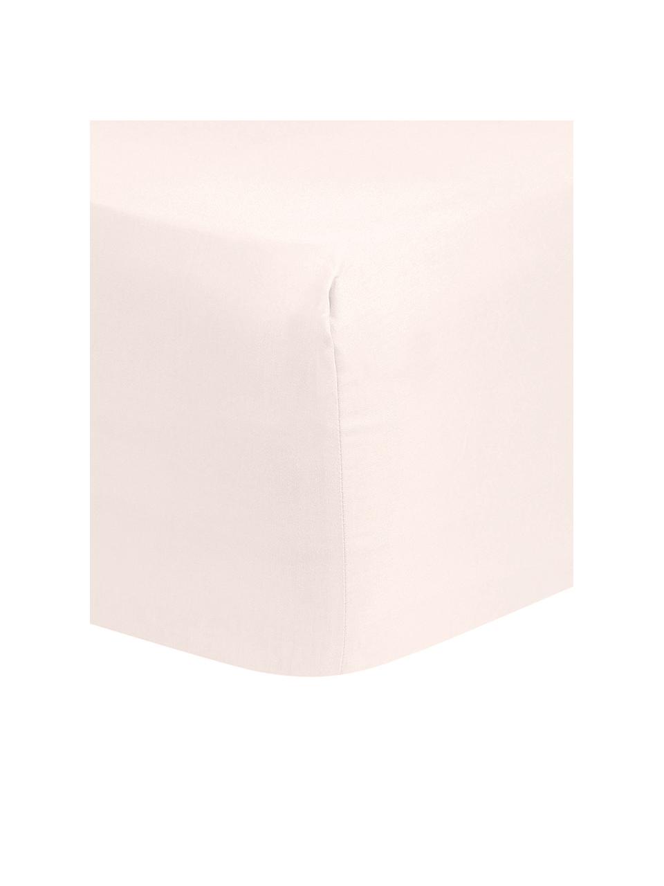 Lenzuolo con angoli in raso di cotone rosa Comfort, Rosa, Larg. 180 x Lung. 200 cm