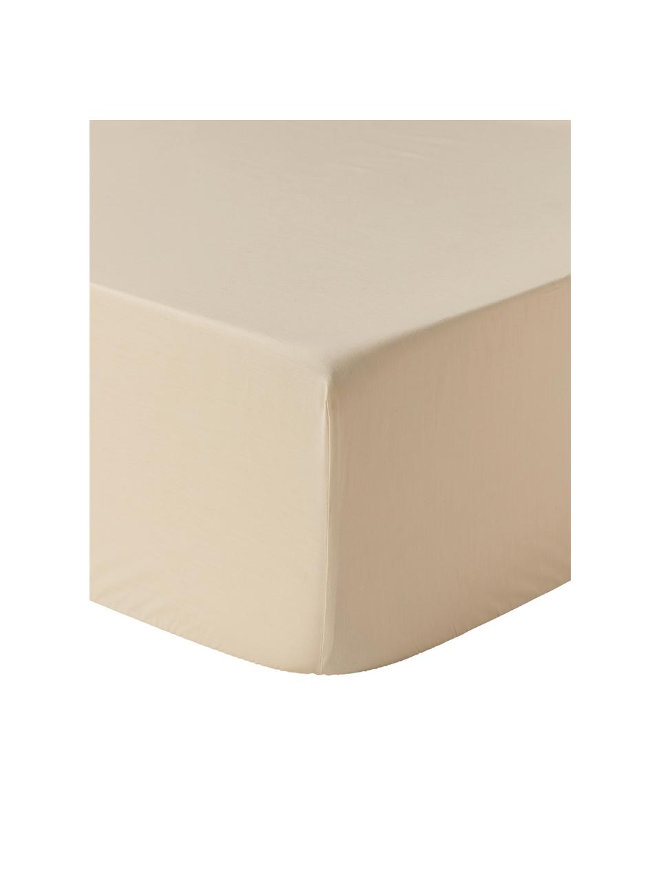 Spannbettlaken Elsie, Baumwollperkal, Webart: Perkal, Beige, B 90 x L 200 cm, H 25 cm