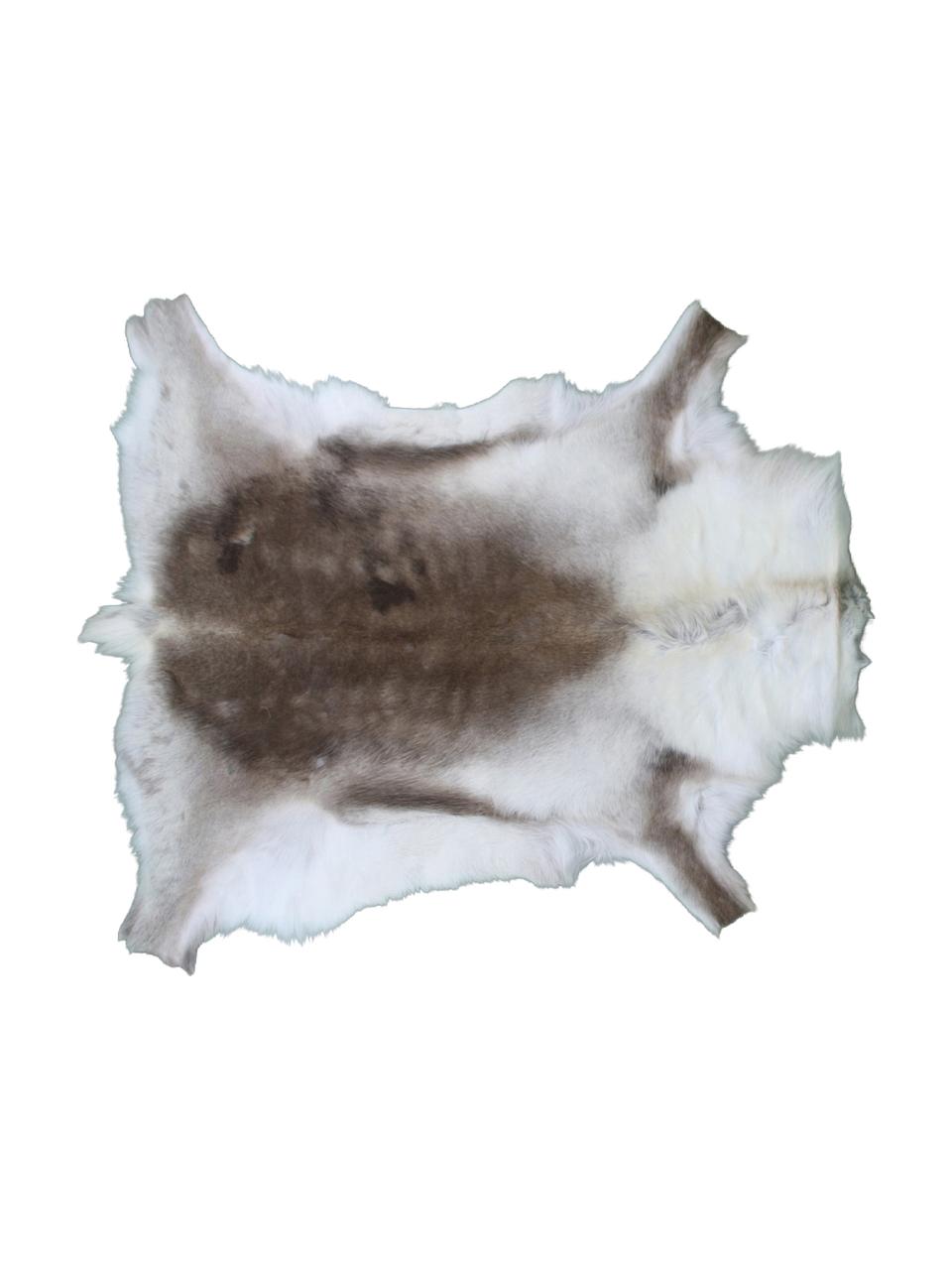 Rentierfell-Teppich Marlen, Rentierfell, Brauntöne, Weiß, Rentierfell-Unikat 141, 75 x 115 cm