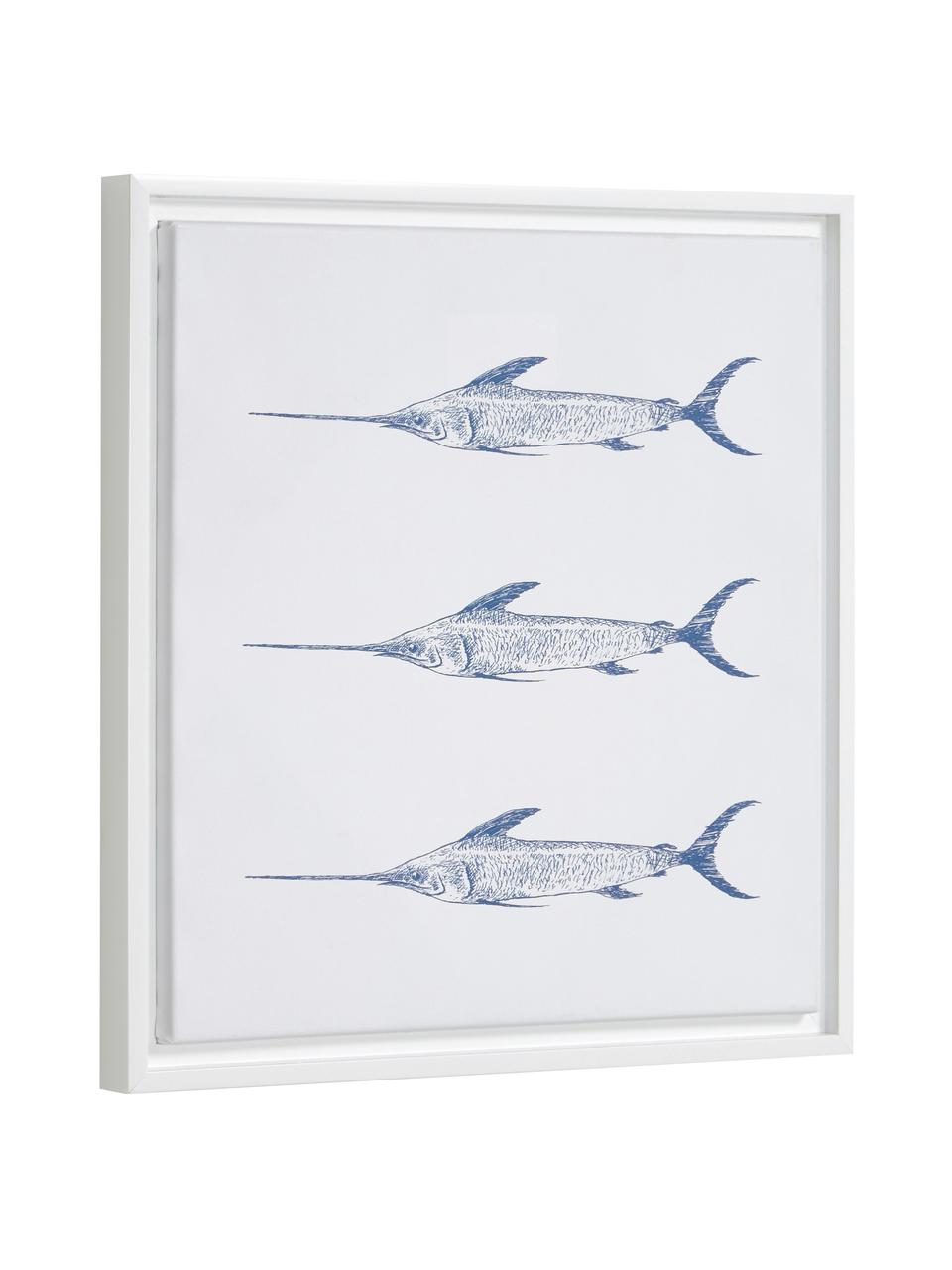 Gerahmter Digitaldruck Lavinia Swordfish, Rahmen: Mitteldichte Holzfaserpla, Bild: Leinwand, Weiß, Blau, B 30 x H 40 cm