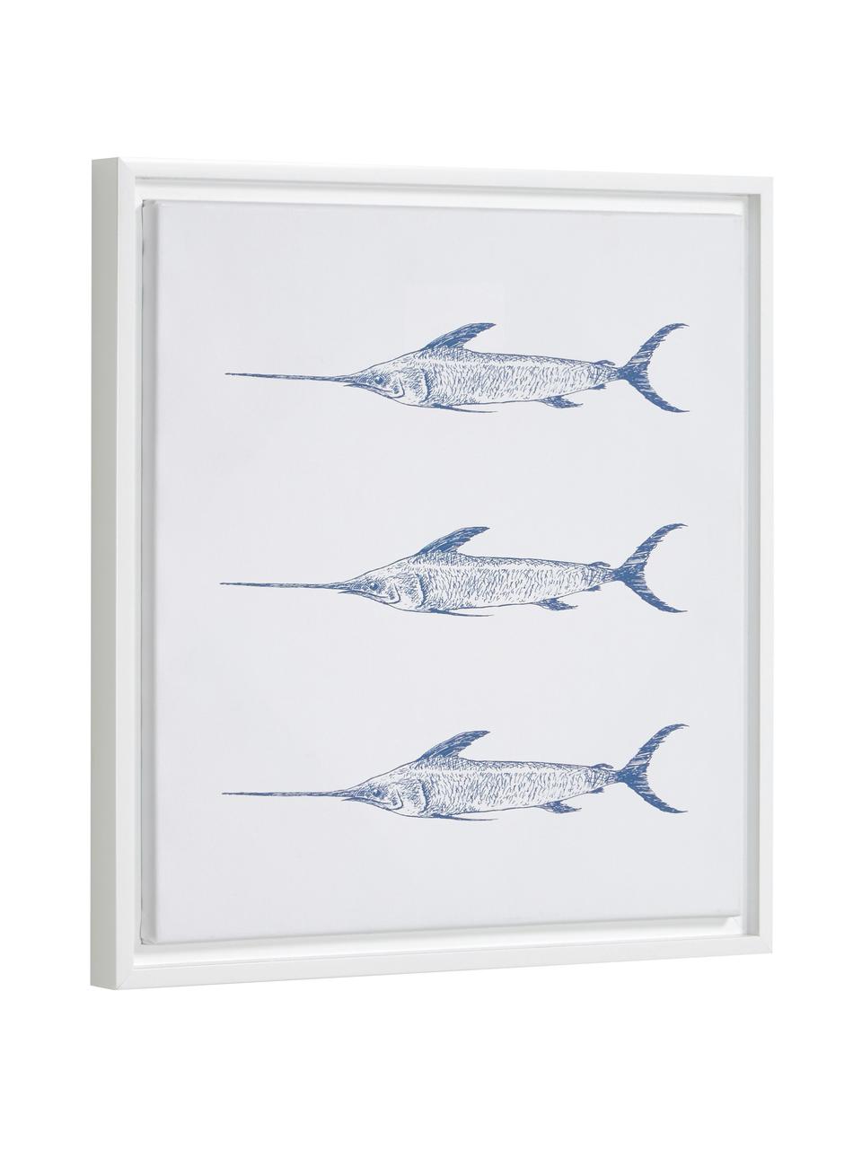 Oprawiony druk cyfrowy Lavinia Swordfish, Biały, niebieski, S 30 x W 40 cm