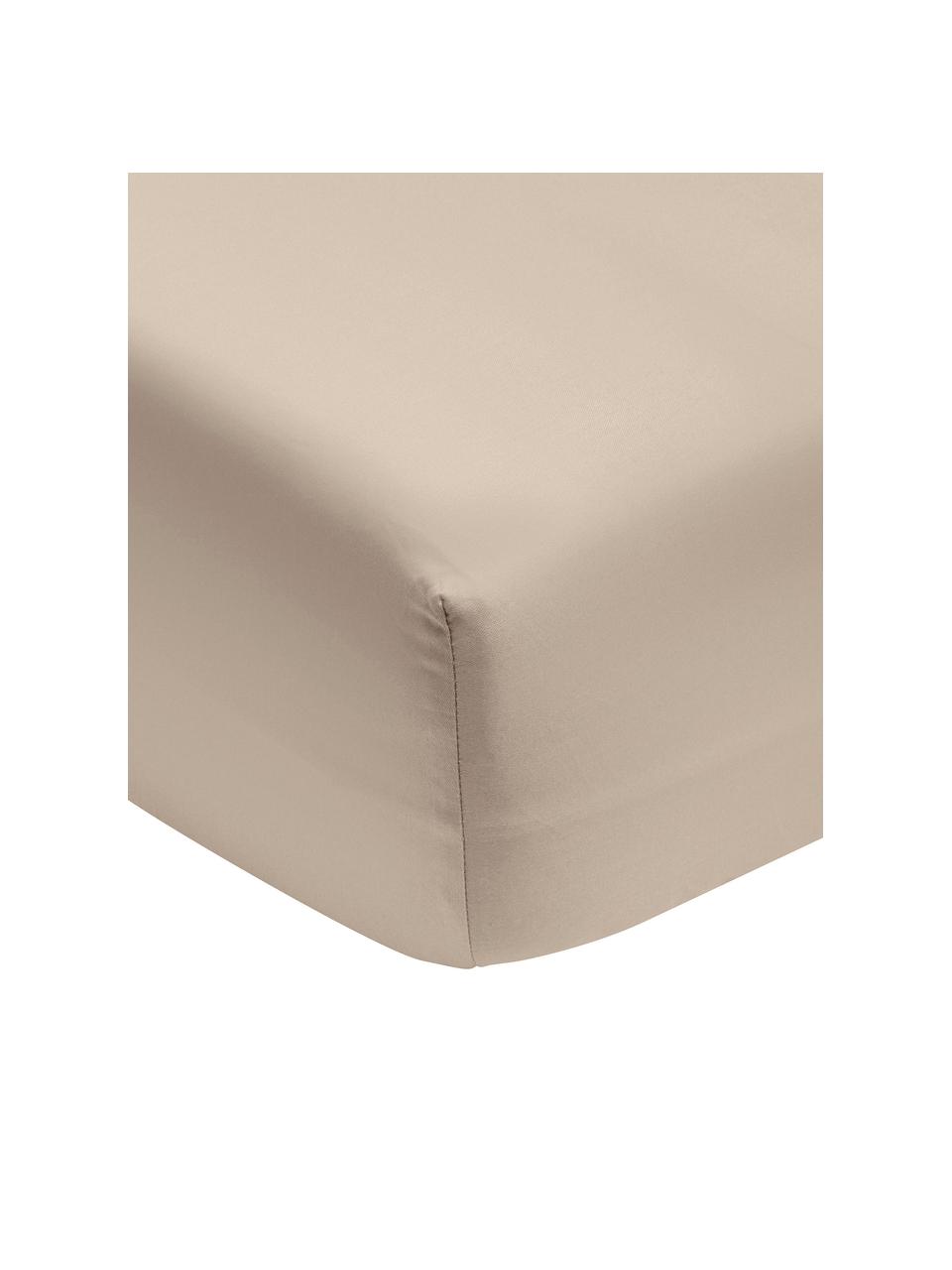 Drap-housse satin de coton bio beige Premium, Taupe, 90 x 200 cm