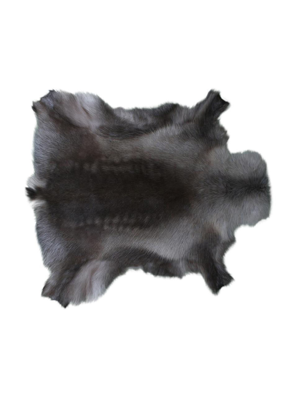 Koberec ze sobí kůže Berndo, Sobí kůže, Odstíny hnědé, Sobí kůže, unikátní, 232, 75 x 115 cm