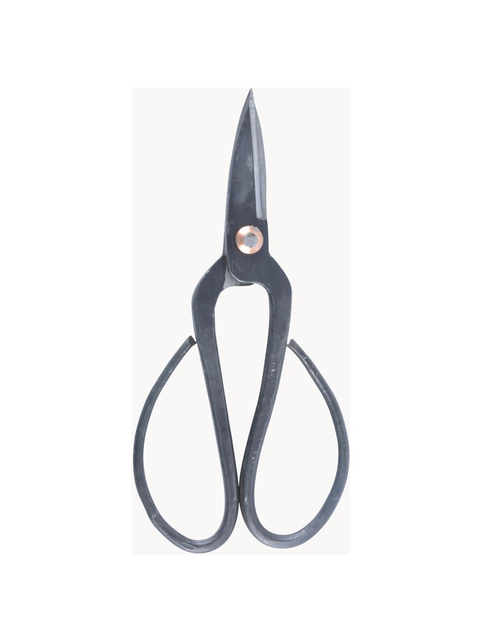 Forbici da giardinaggio Baldwyn, Metallo rivestito, Grigio, Larg. 9 x Alt. 18 cm