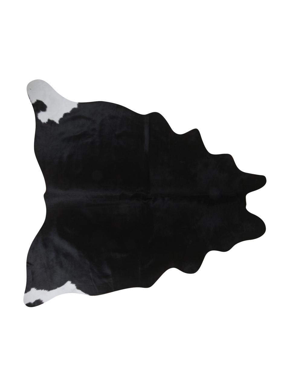 Tappeto in pelle bovina bianco e nero Pisces, Pelle di mucca, Bianco con macchie nere, Pelle di mucca unica 967, 160 x 180 cm