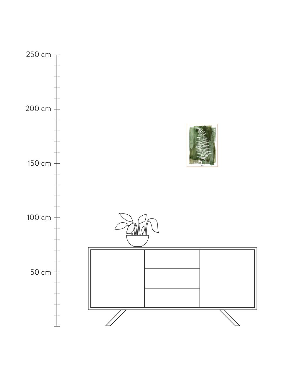 Zarámovaný digitální tisk White Fern, Zelená, bílá, Š 30 cm, V 40 cm