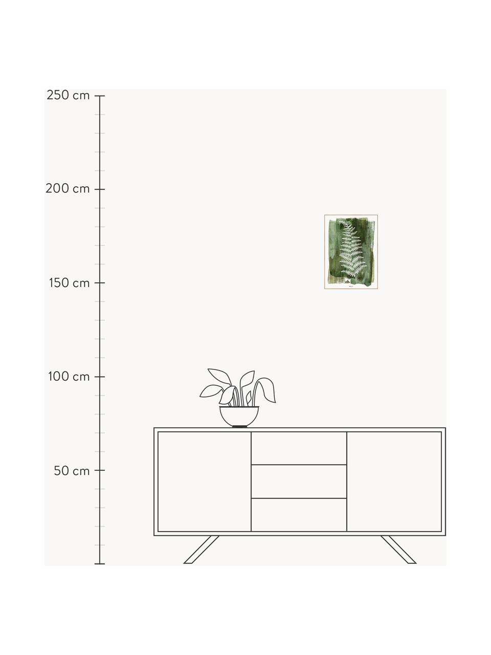 Zarámovaný digitální tisk White Fern, Zelená, bílá, Š 30 cm, V 40 cm