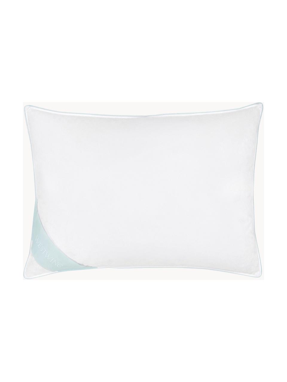 Almohada de plumas Comfort, blanda, Firmeza blanda, An 50 x L 70 cm