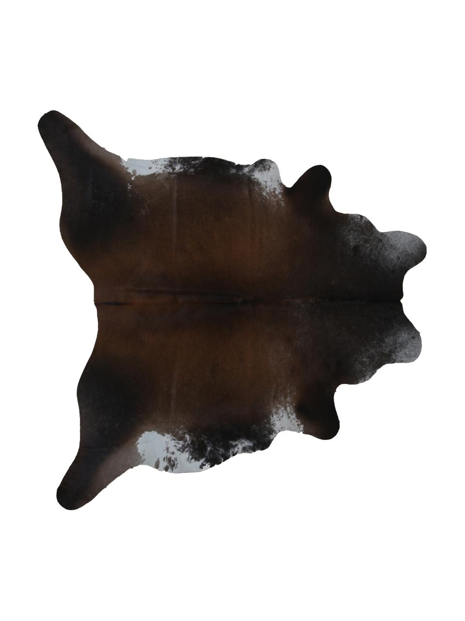 Tappeto di pelle bovina Acquario, Pelle di mucca, Marrone scuro, Pelle di mucca unica 940, 160 x 180 cm