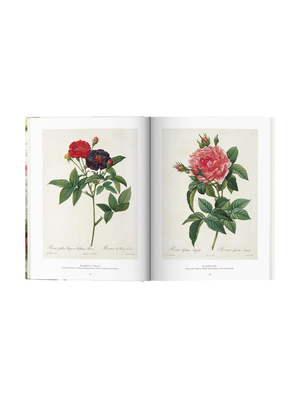 Libro ilustrado Book of Flowers, Papel, tapa dura, Book of Flowers, An 25 x Al 35 cm