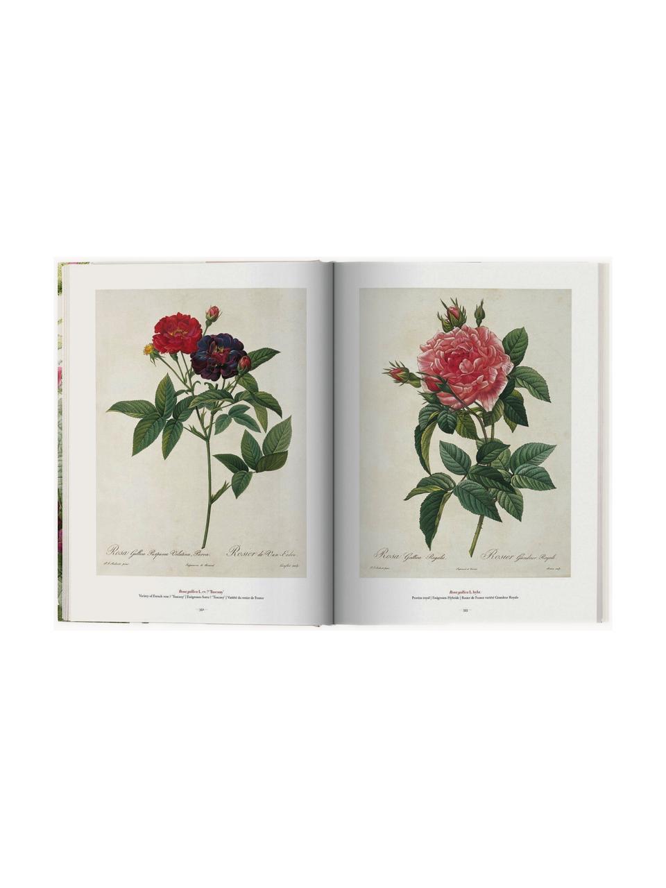 Bildband Book of Flowers, Papier, Hardcover, Book of Flowers, B 25 x H 35 cm