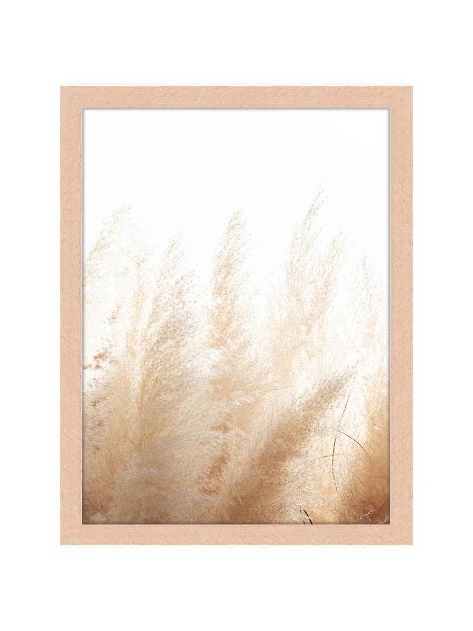 Gerahmter Digitaldruck Pampa Grass, Bild: Digitaldruck auf Papier, , Rahmen: Holz, lackiert, Front: Plexiglas, Pampa Grass, B 33 x H 43 cm