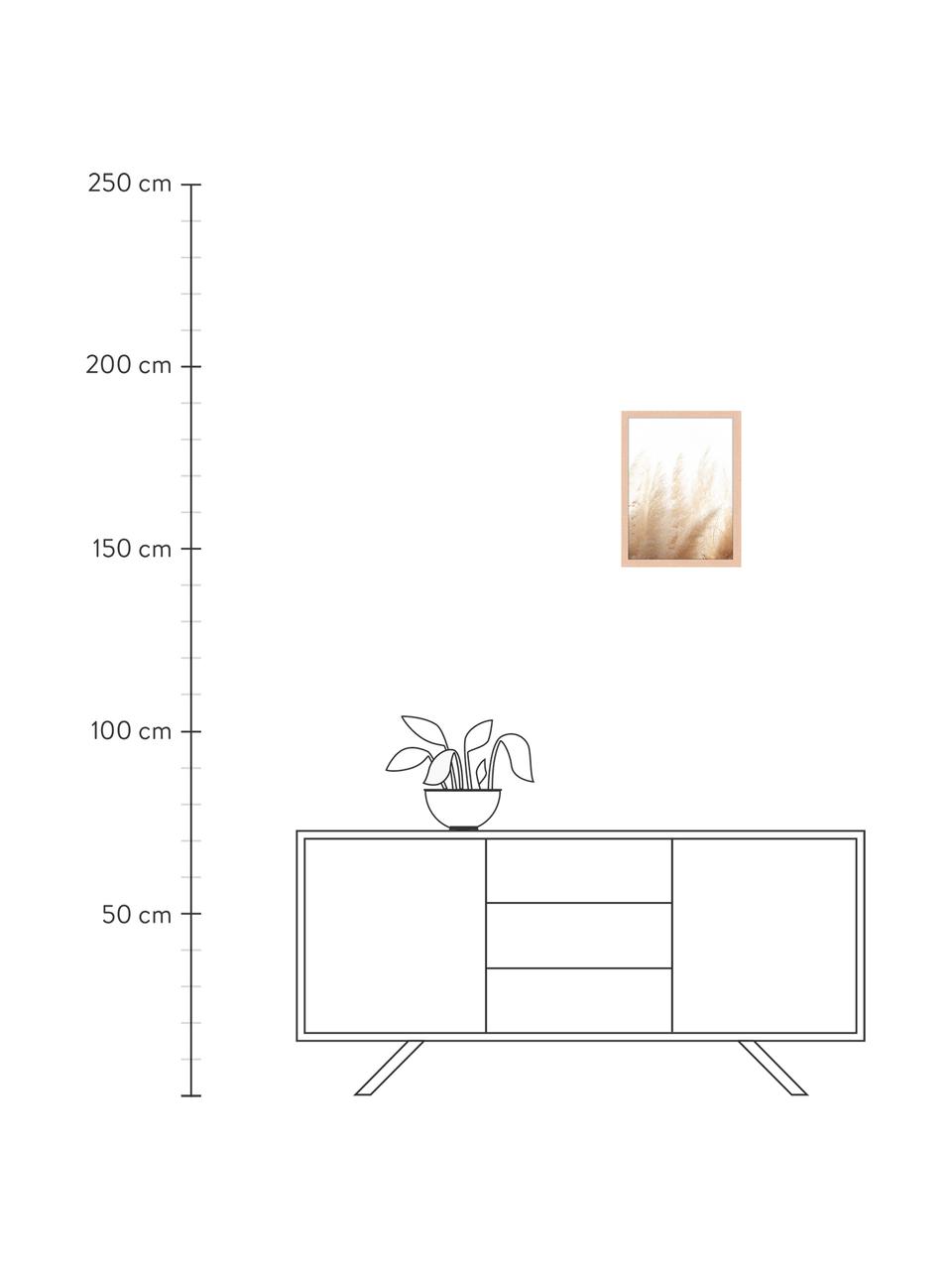 Gerahmter Digitaldruck Pampa Grass, Bild: Digitaldruck auf Papier, , Rahmen: Holz, lackiert, Front: Plexiglas, Pampa Grass, B 33 x H 43 cm