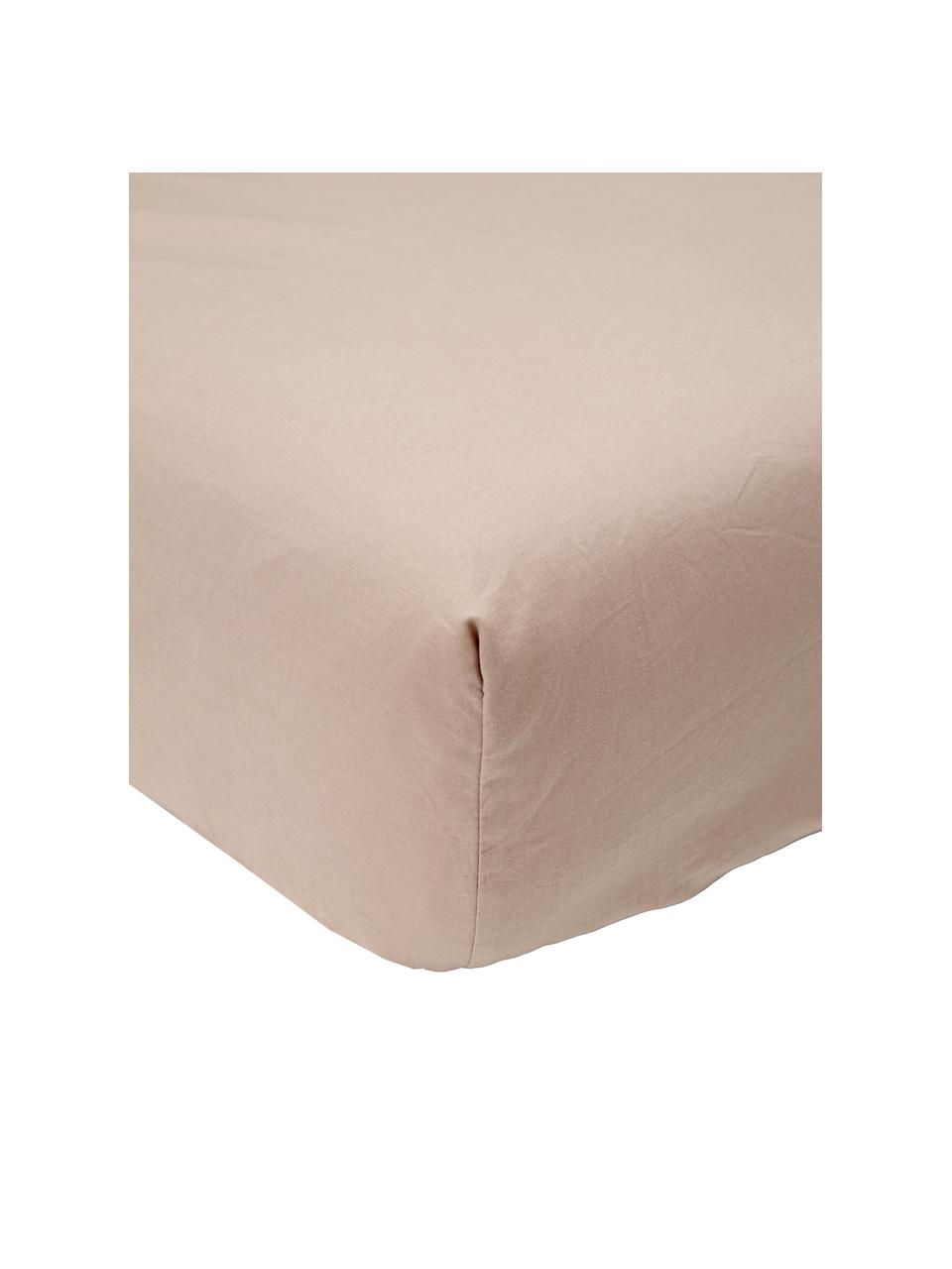 Drap-housse percale taupe Elsie, Taupe, larg. 90 x long. 200 cm