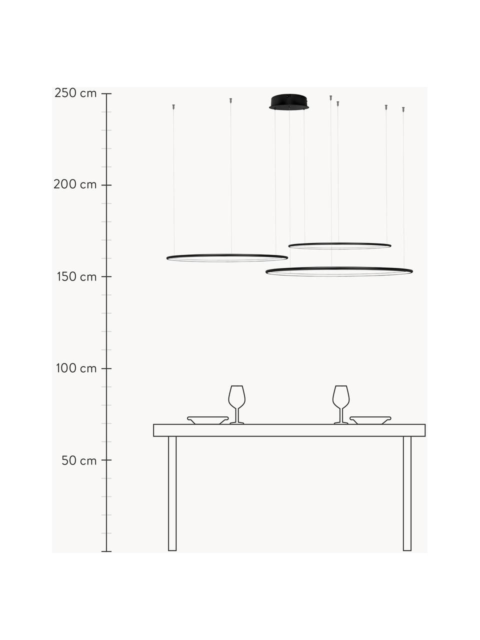 Grosse LED-Pendelleuchte Ring, Baldachin: Metall, pulverbeschichtet, Schwarz, Ø 130 cm