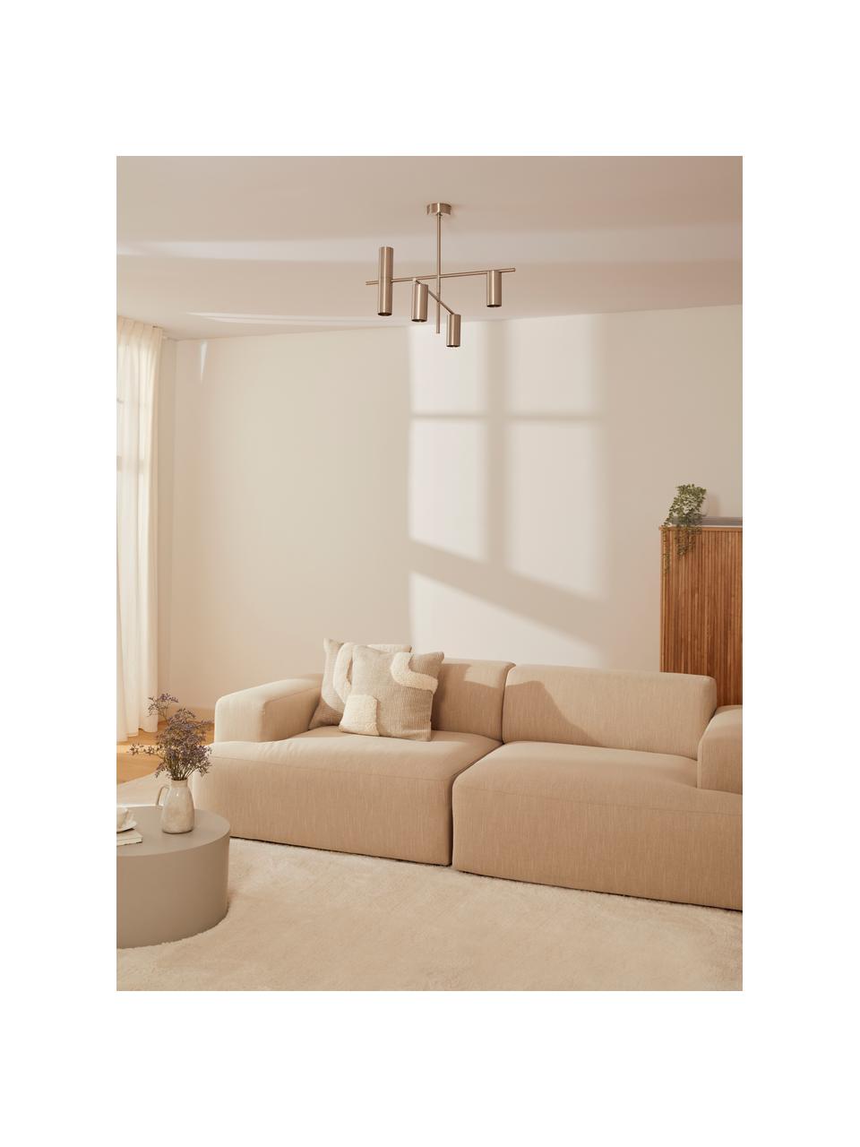 Plafondlamp Cassandra, Lampenkap: gepoedercoat metaal, Mat zilverkleurig, B 70 x H 49 cm