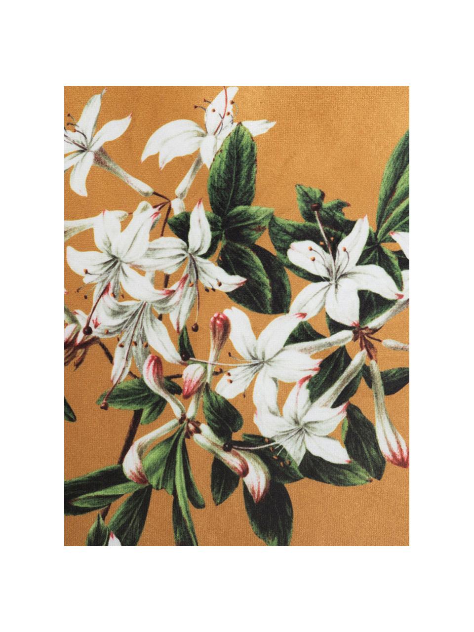 Cojín de terciopelo Spring, con relleno, Funda: terciopelo de poliéster, Multicolor, An 45 x L 45 cm