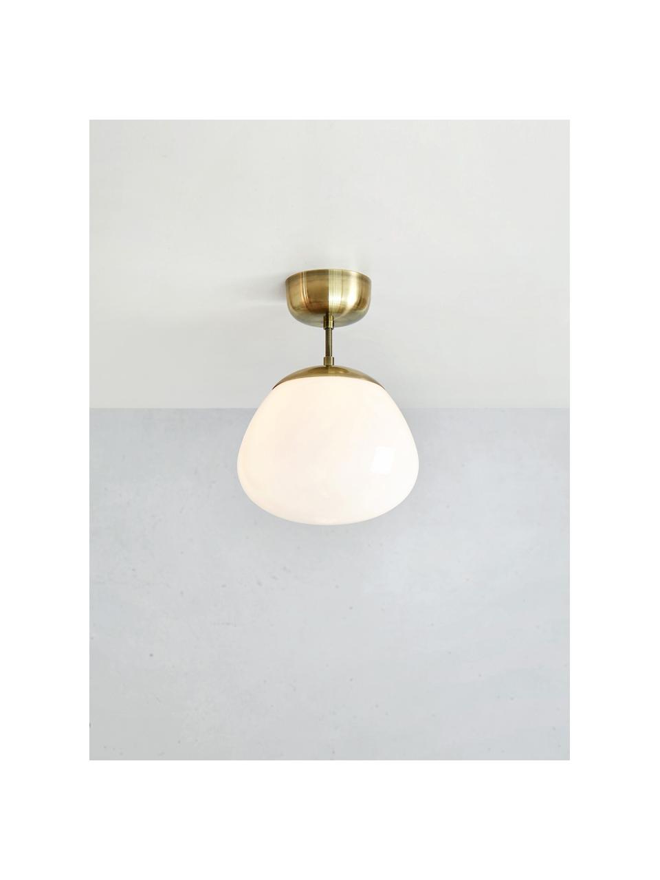 Lampada da soffitto Rise, Paralume: vetro, Baldacchino: acciaio spazzolato, Bianco crema, dorato, Ø 25 x Alt. 35 cm